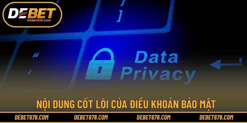 Nội dung cốt lõi của điều khoản bảo mật
